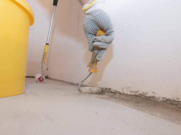 Best Bed Bug Extermination  in Linden, TX